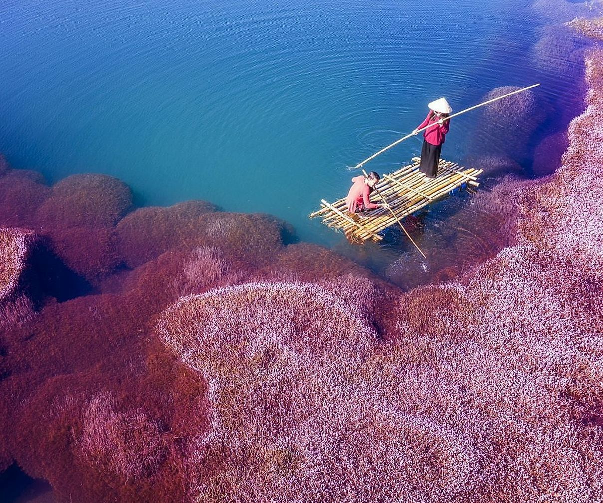 Pescador em ação na zona premium