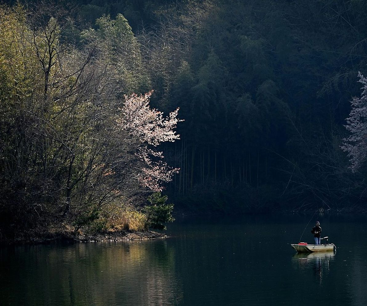 Crianças e famílias pescando na roda de prêmios